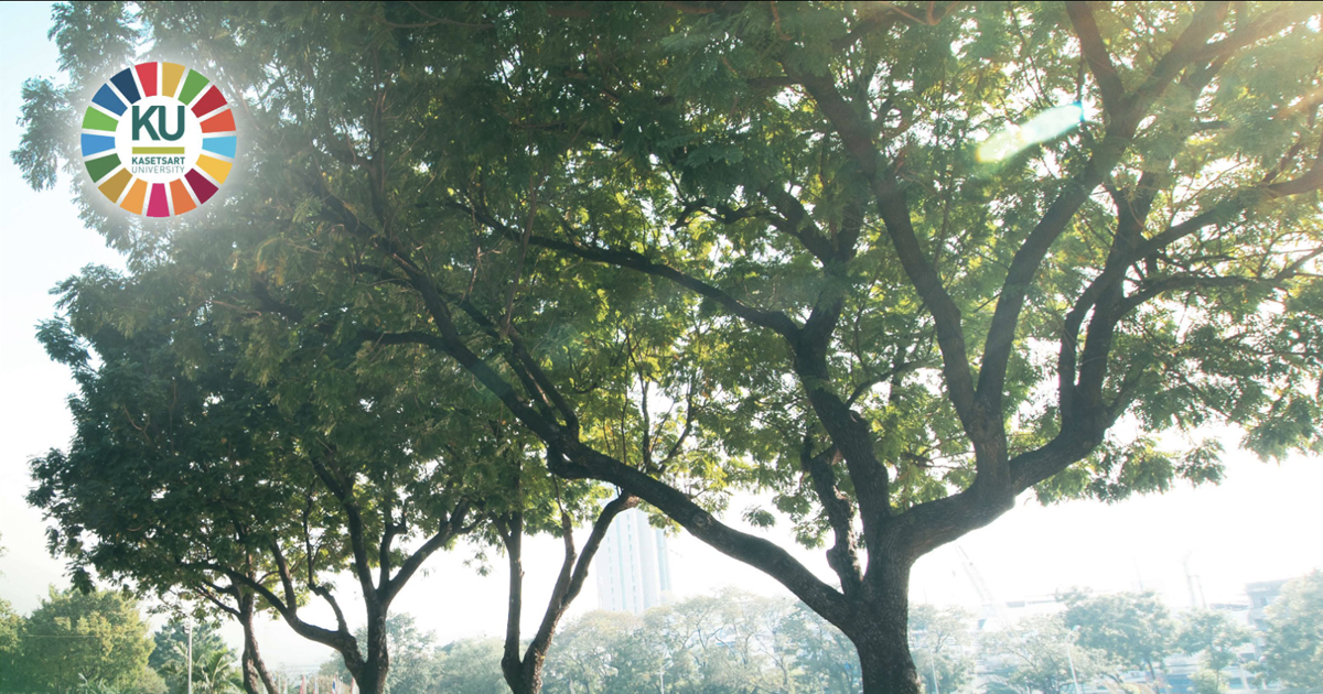 นโยบายการพัฒนาสิ่งแวดล้อมสู่ความยั่งยืน