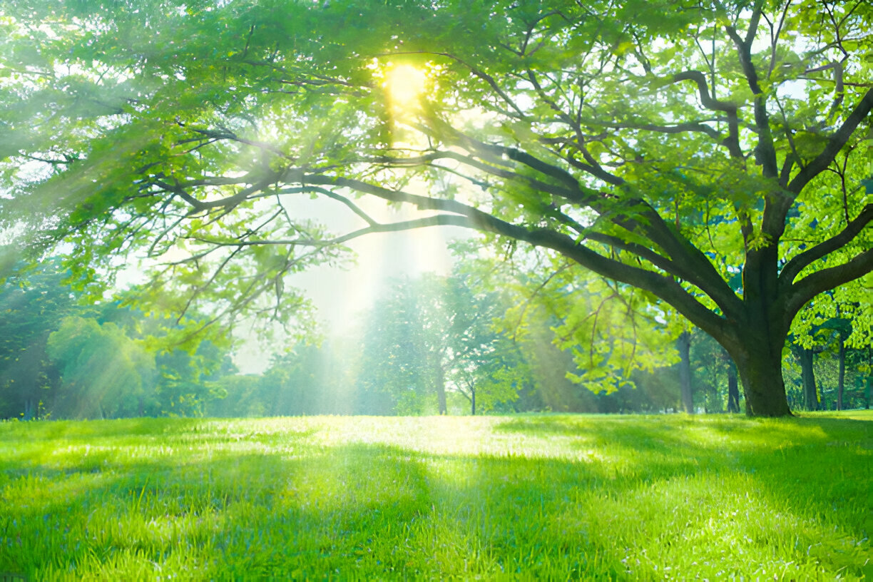 KU Public Park – การพัฒนาสวนสาธารณะสีเขียวในมหาวิทยาลัยเกษตรศาสตร์เพื่อชุมชนยั่งยืน